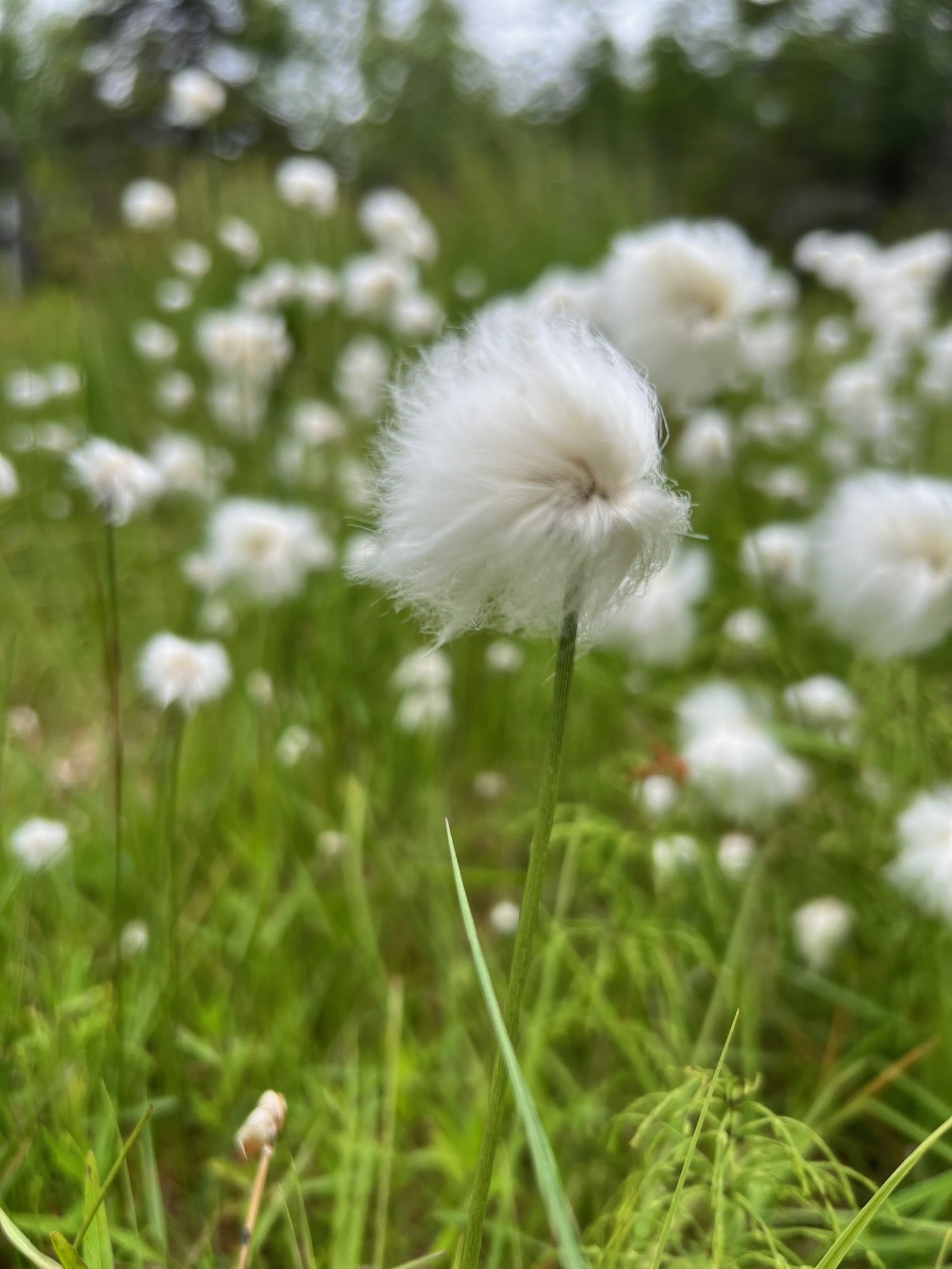 Säilytystilaa Saariselällä